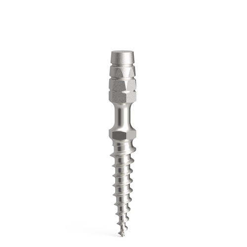 Implants temporaires ProImplant